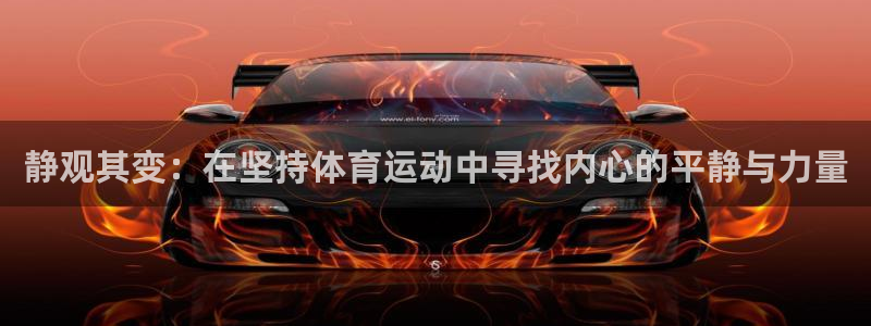 海南MK体育官网下载:静观其变:在坚持体育运动中寻找内心的平