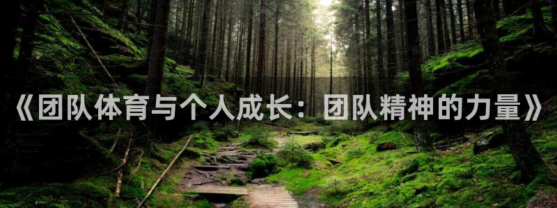 MK体育官方正版app娱乐网站:《团队体育与个人成长:团队精