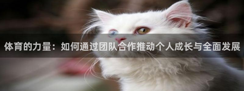 MK体育官网下载招商电话地址是多少:体育的力量:如何通过团队