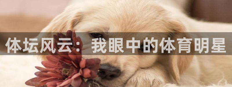 MK体育官方正版app集团官网首页网址:体坛风云:我眼中的体