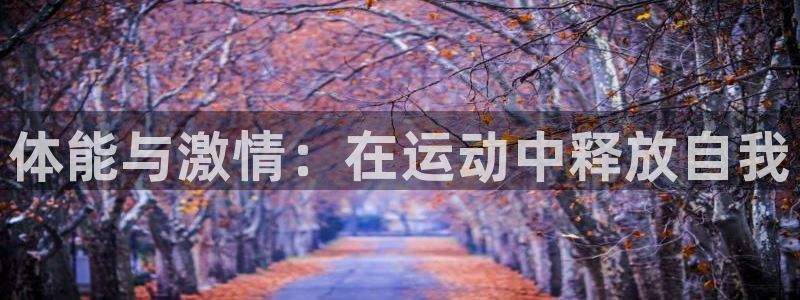 MK体育官网下载平台注册要钱吗是真的吗:体能与激情:在运动中