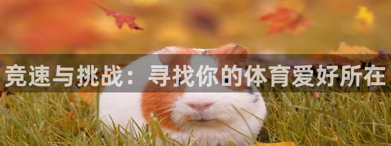 MK体育官方正版app娱乐首页官网下载:竞速与挑战:寻找你的