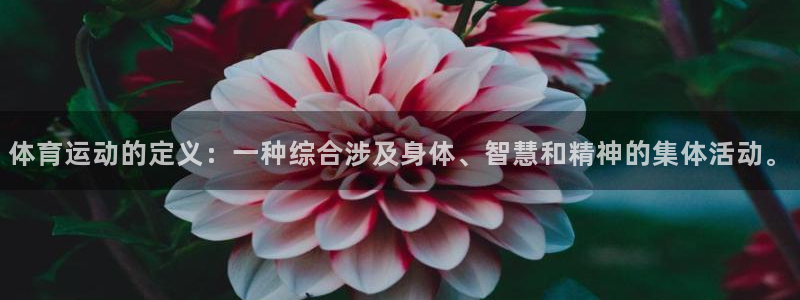 MK体育官方正版app娱乐首页官网下载:体育运动的定义:一种