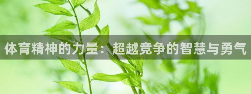 海南MK体育官网下载:体育精神的力量:超越竞争的智慧与勇气